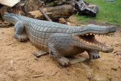 krokodilas.38x11x08m