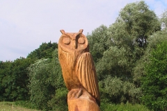 IMGA0669