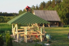 IMGA0344