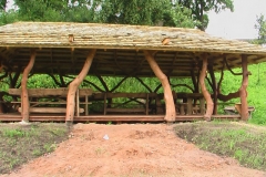 IMGA0675