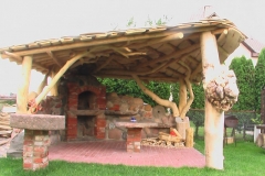 pavesinesuzidiniu